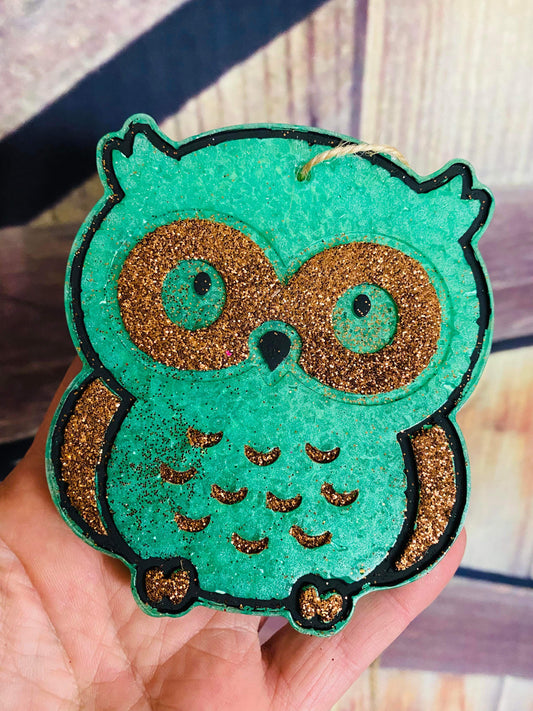 Turquoise owl